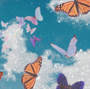 Meet your Posher, Ruby